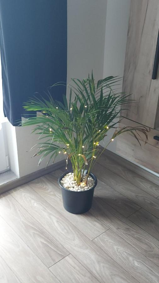 Apartament Antonias Fagaras Luaran gambar