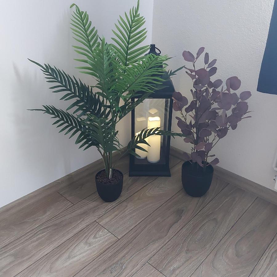 Apartament Antonias Fagaras Luaran gambar